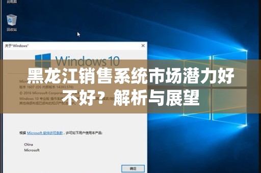 黑龙江销售系统市场潜力好不好？解析与展望