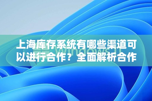 上海库存系统有哪些渠道可以进行合作？全面解析合作机会与策略