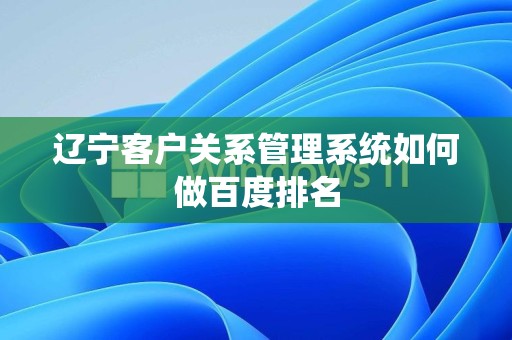 辽宁客户关系管理系统如何做百度排名