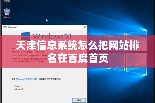 天津信息系统怎么把网站排名在百度首页
