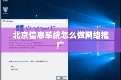北京信息系统怎么做网络推广