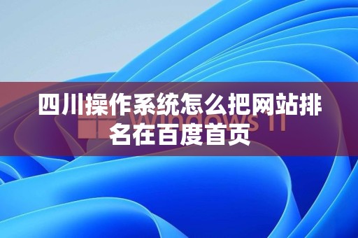 四川操作系统怎么把网站排名在百度首页