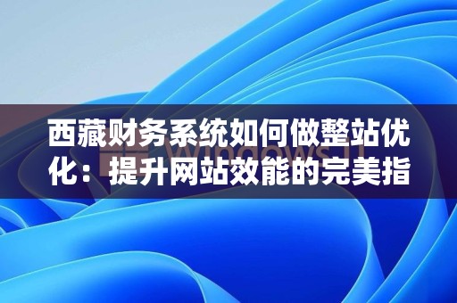 西藏财务系统如何做整站优化：提升网站效能的完美指南