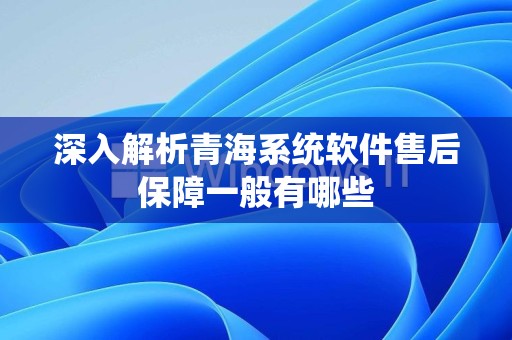 深入解析青海系统软件售后保障一般有哪些