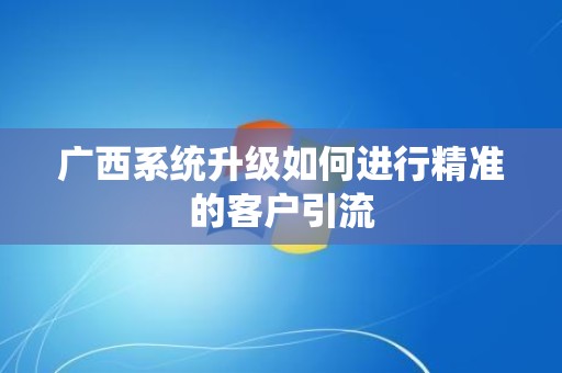 广西系统升级如何进行精准的客户引流