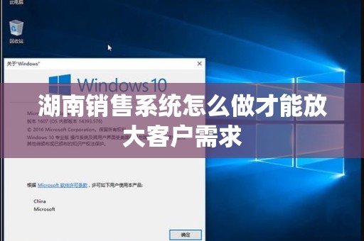 湖南销售系统怎么做才能放大客户需求