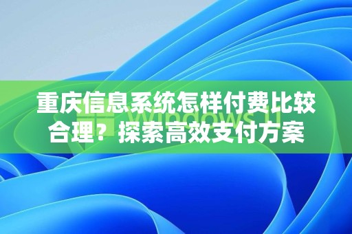 重庆信息系统怎样付费比较合理？探索高效支付方案