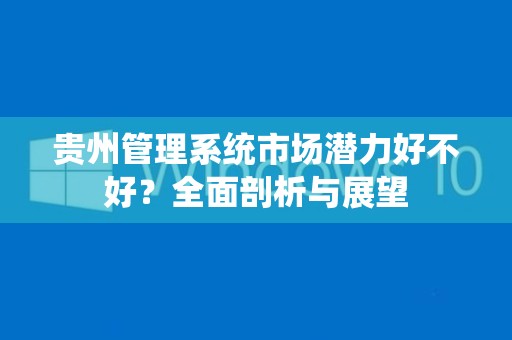 贵州管理系统市场潜力好不好？全面剖析与展望