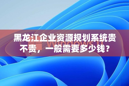 黑龙江企业资源规划系统贵不贵，一般需要多少钱？