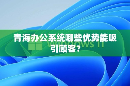 青海办公系统哪些优势能吸引顾客？
