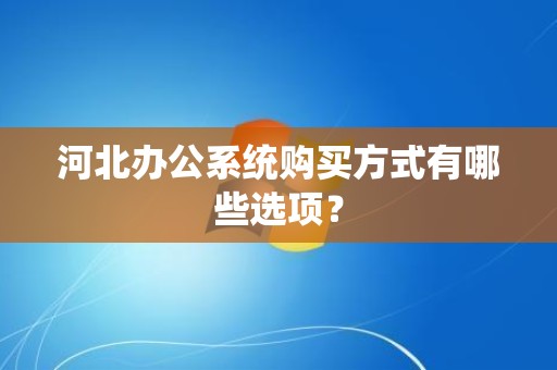 河北办公系统购买方式有哪些选项？
