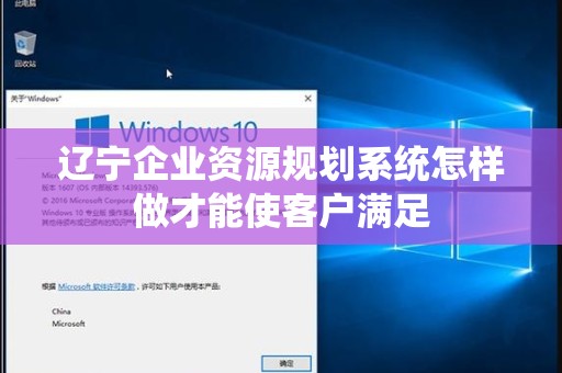 辽宁企业资源规划系统怎样做才能使客户满足