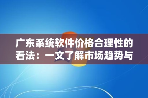 广东系统软件价格合理性的看法：一文了解市场趋势与价值