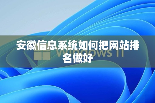 安徽信息系统如何把网站排名做好