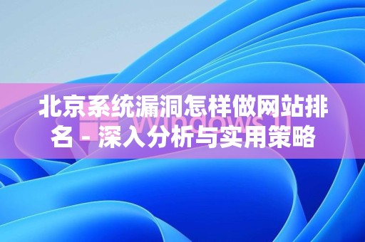 北京系统漏洞怎样做网站排名 - 深入分析与实用策略