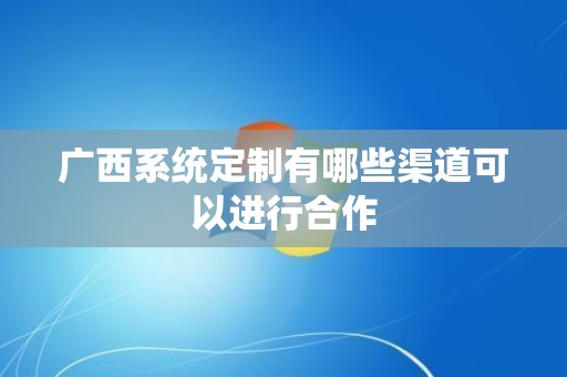 广西系统定制有哪些渠道可以进行合作