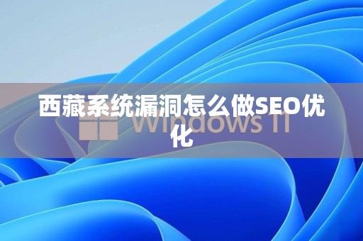 西藏系统漏洞怎么做SEO优化