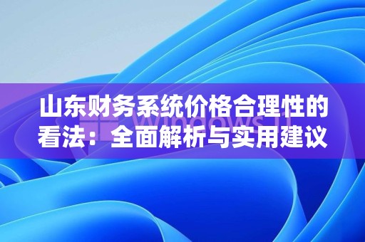 山东财务系统价格合理性的看法：全面解析与实用建议