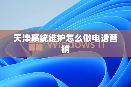天津系统维护怎么做电话营销