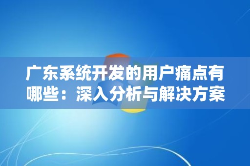 广东系统开发的用户痛点有哪些：深入分析与解决方案