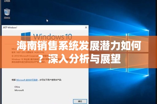 海南销售系统发展潜力如何？深入分析与展望