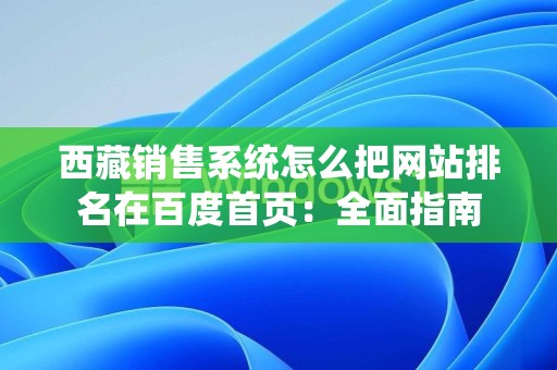 西藏销售系统怎么把网站排名在百度首页：全面指南