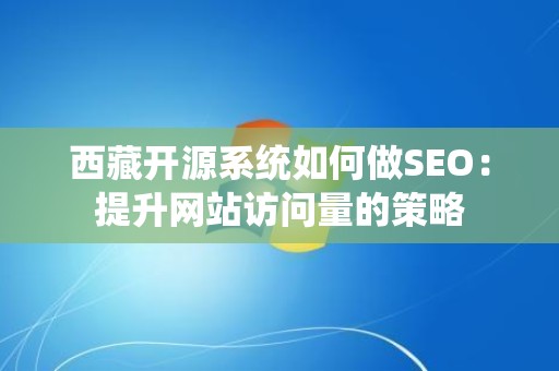 西藏开源系统如何做SEO：提升网站访问量的策略