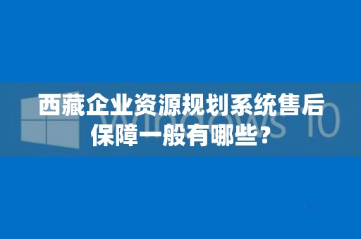 西藏企业资源规划系统售后保障一般有哪些？