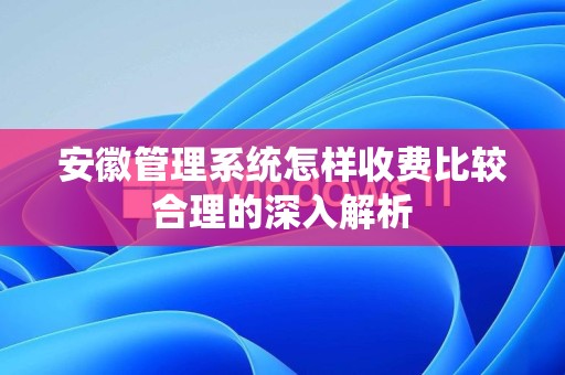 安徽管理系统怎样收费比较合理的深入解析