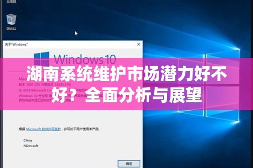 湖南系统维护市场潜力好不好？全面分析与展望
