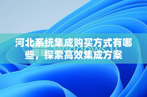 河北系统集成购买方式有哪些，探索高效集成方案