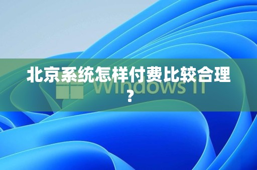 北京系统怎样付费比较合理？